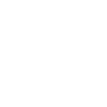 Money bag icon